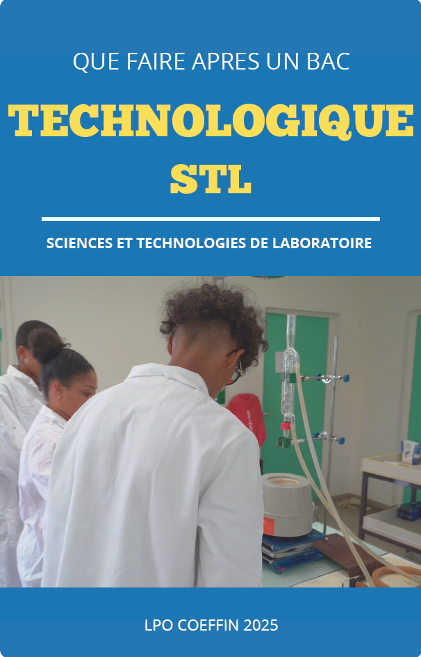 Que Faire Apres Un Bac Technologique Stl Lyc E Charles Coeffin